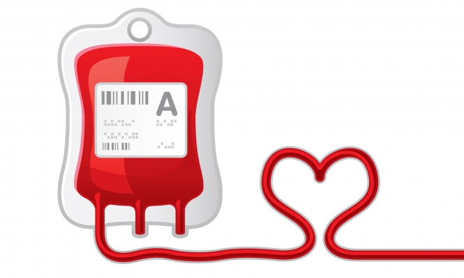 بوابة صحتك - التبرع بالدم